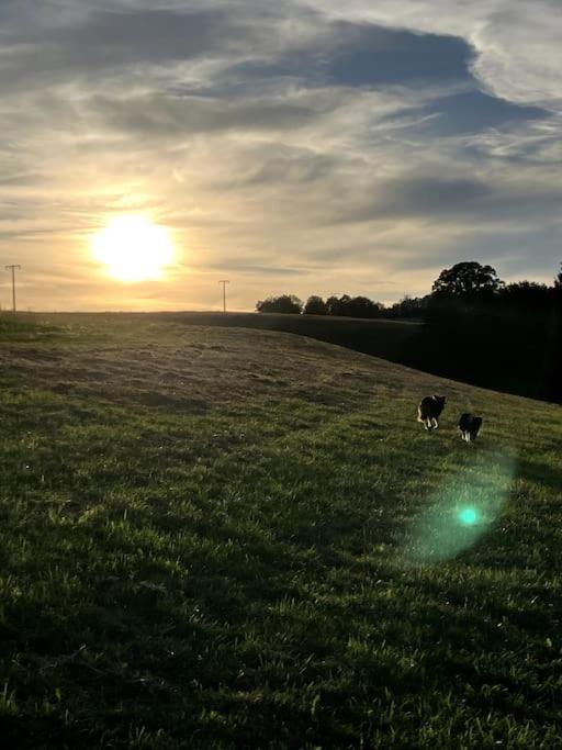 Schwarzwald Escape Konuk evi Gorwihl Dış mekan fotoğraf